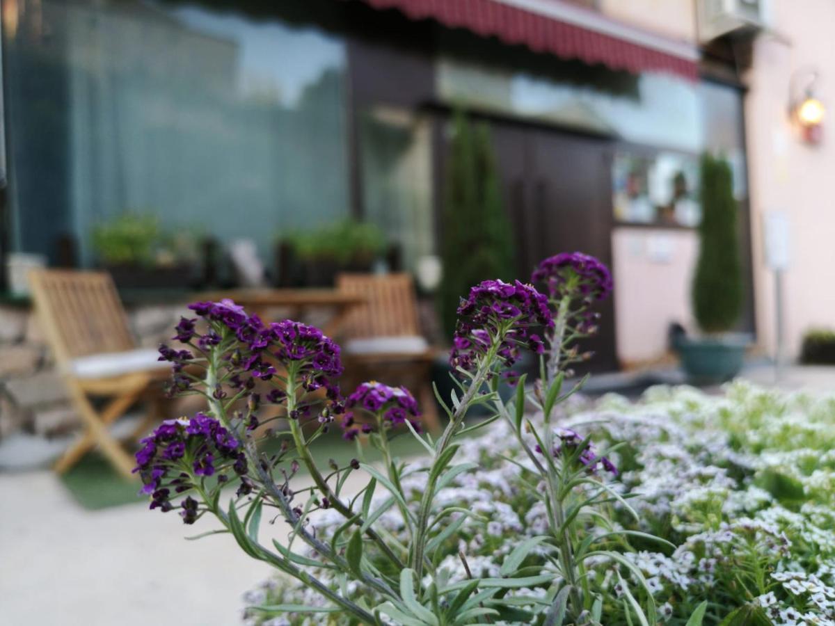 Hotel Cardamomo Sigueenza Carabias (Guadalajara) Exterior foto
